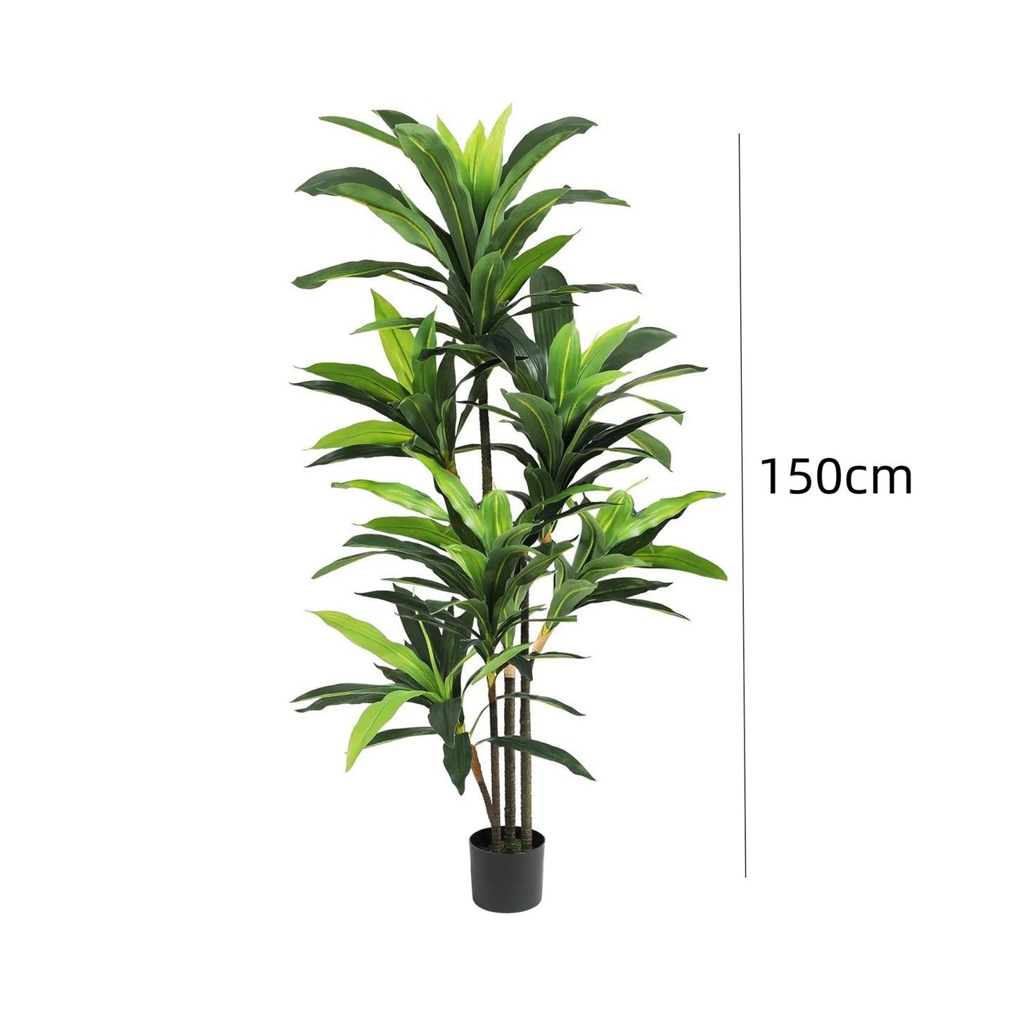 Artificial Dracaena Indoor Plant