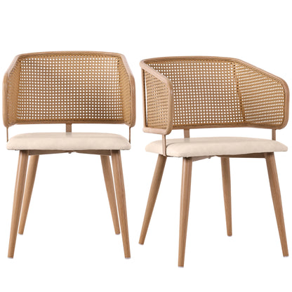 Modern Rattan Backrests Chair