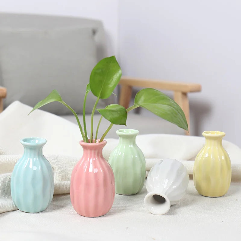 Coloured Mini Flower Vase