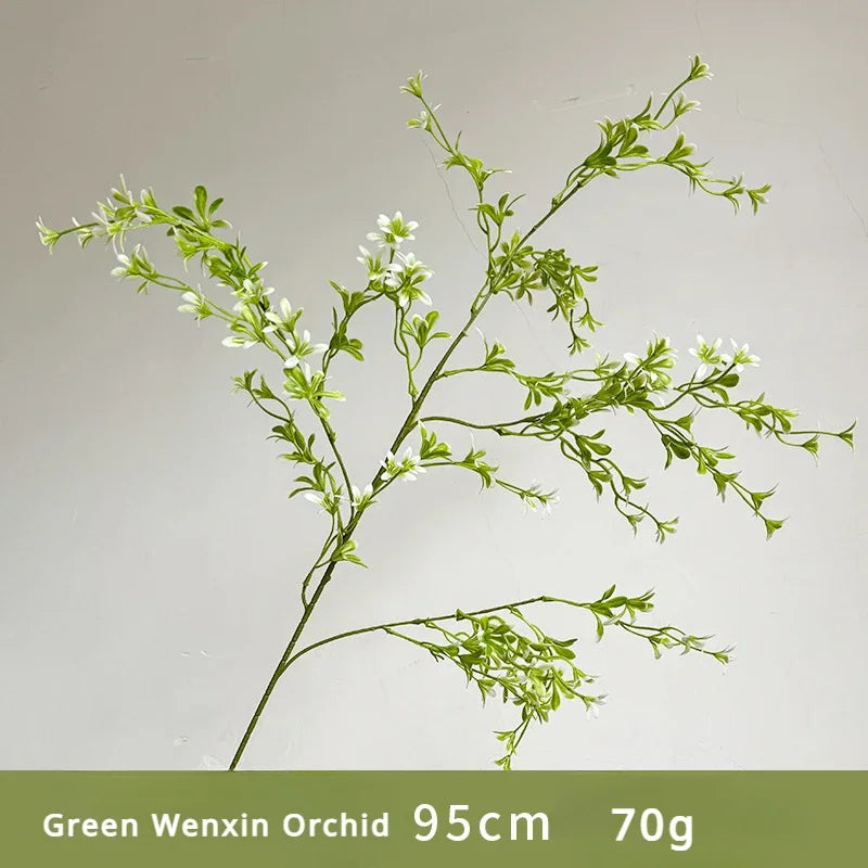 Green Wenxin Orchid plant on a plain background