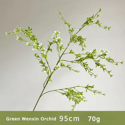 Green Wenxin Orchid plant on a plain background