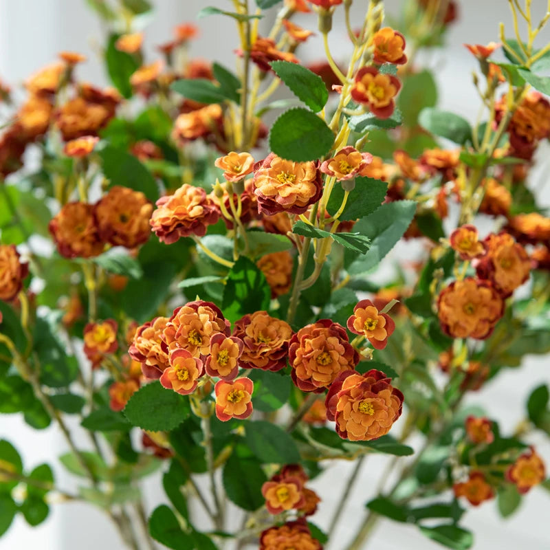 Close-up of orange flowers with green leaves on a blurred background