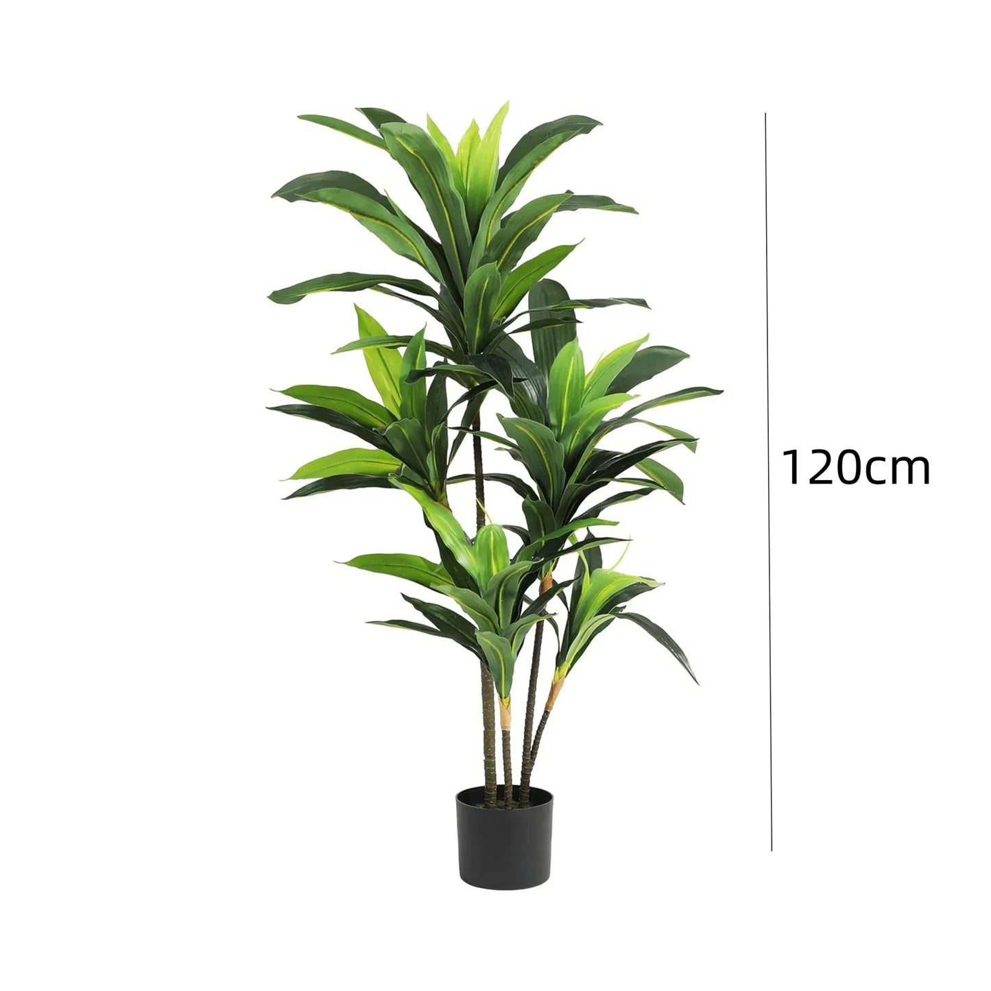 Artificial Dracaena Indoor Plant