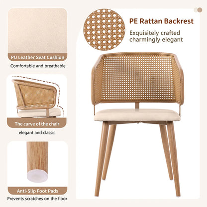 Modern Rattan Backrests Chair