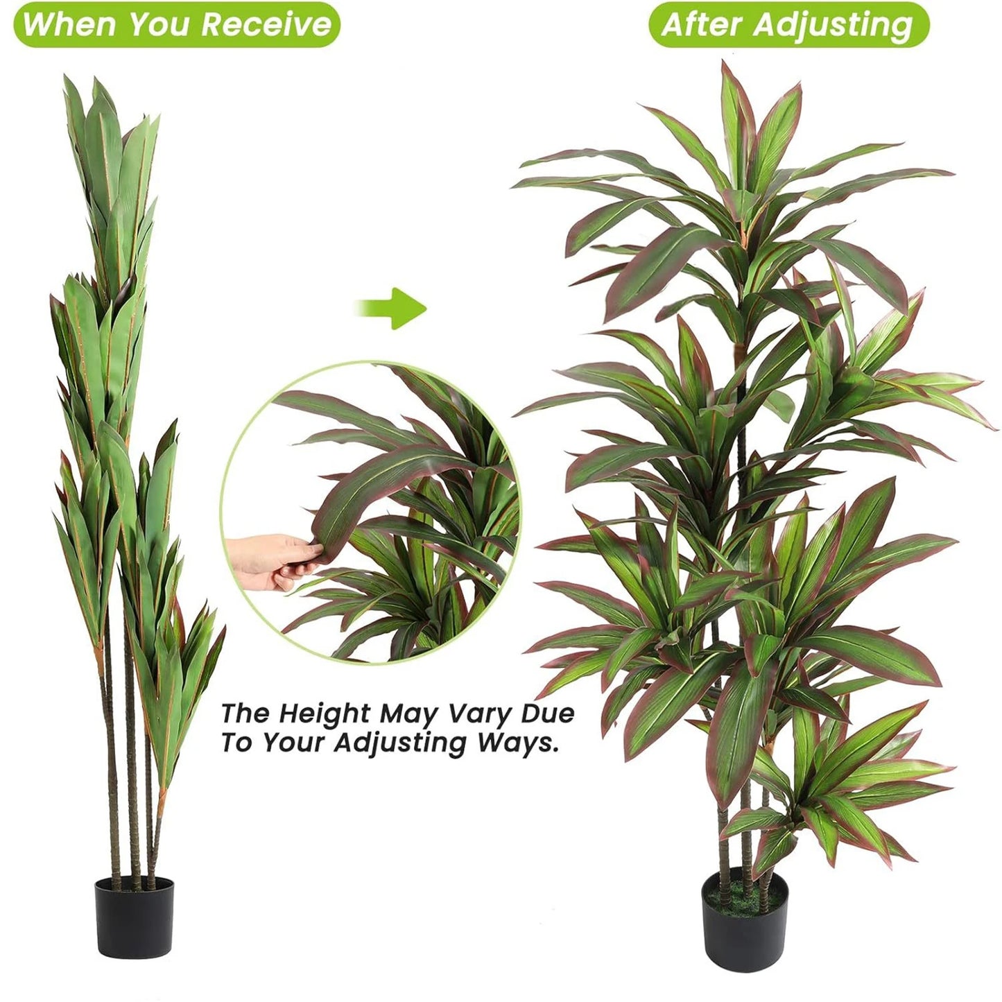 Artificial Dracaena Indoor Plant