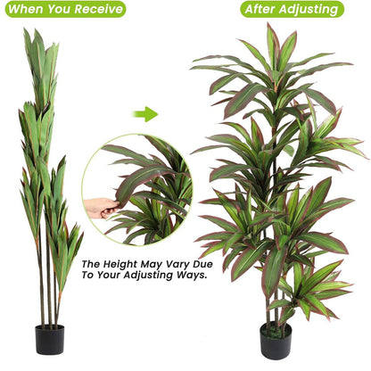 Artificial Dracaena Indoor Plant
