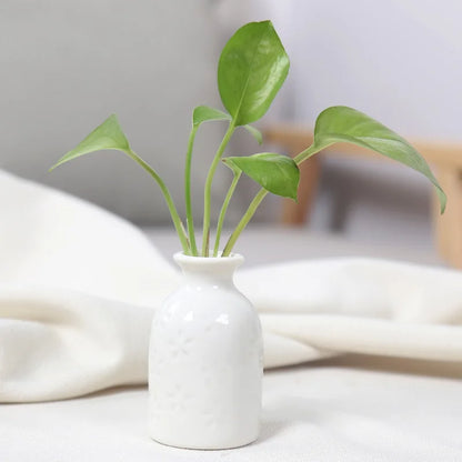 Coloured Mini Flower Vase