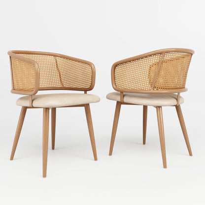 Modern Rattan Backrests Chair