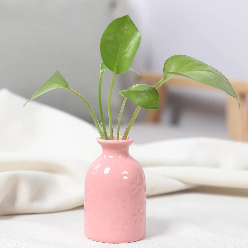 Coloured Mini Flower Vase