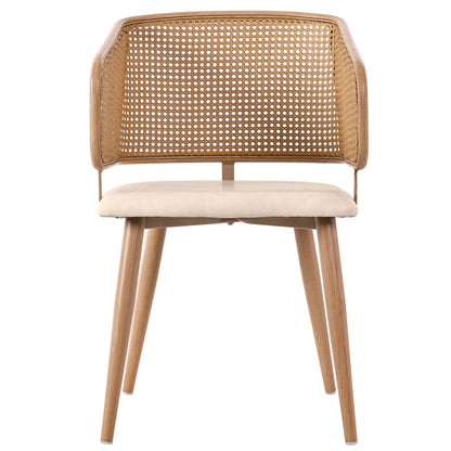 Modern Rattan Backrests Chair