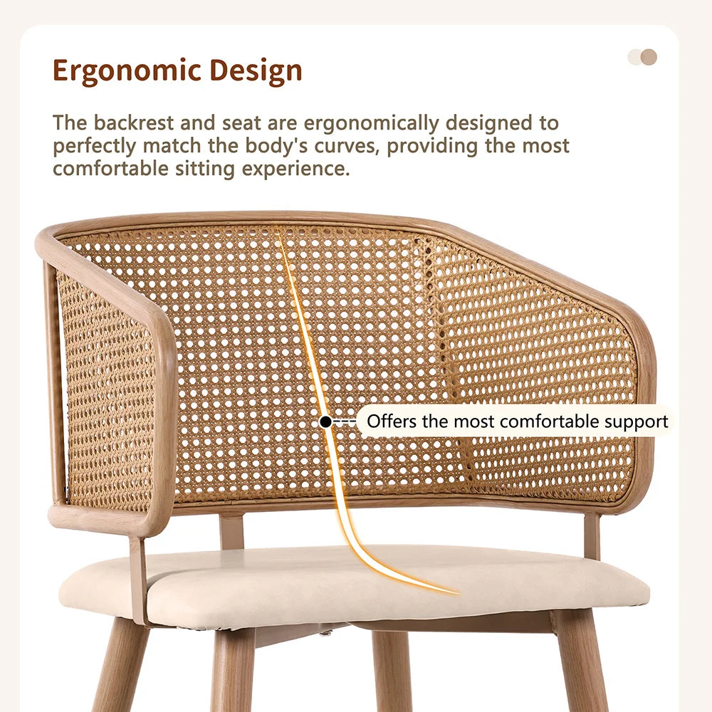 Modern Rattan Backrests Chair