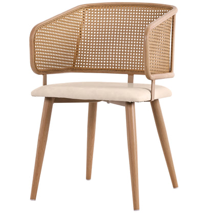 Modern Rattan Backrests Chair