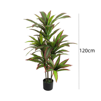 Potted plant with a measurement label indicating height on a white background