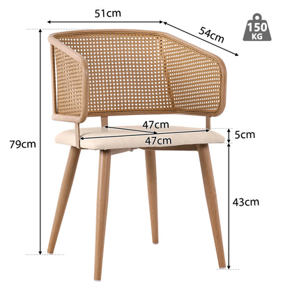 Modern Rattan Backrests Chair