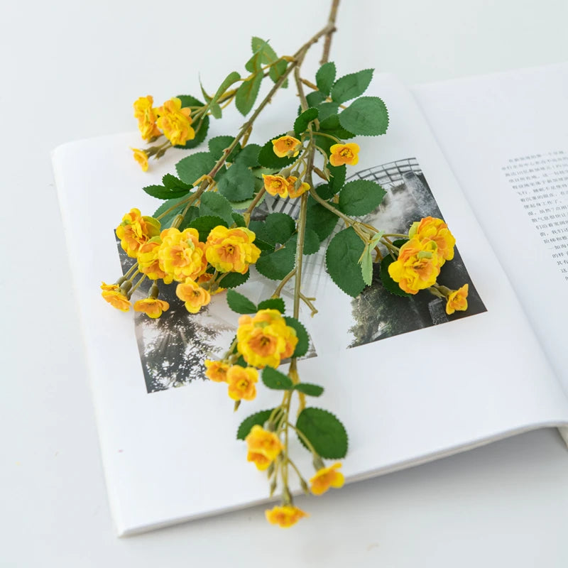 Yellow flowers on an open book with a white background