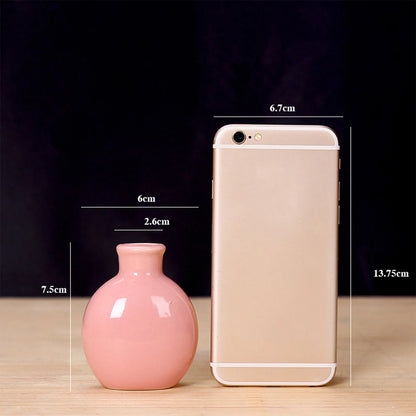 Coloured Mini Flower Vase