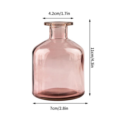 Hydroponic Terrarium Desktop Vase