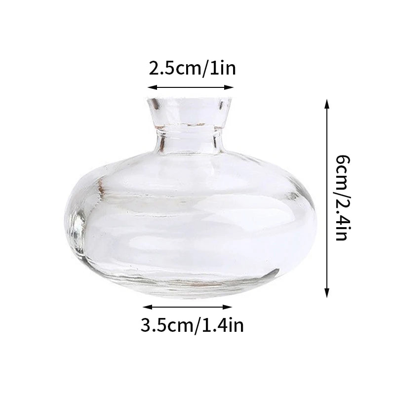 Hydroponic Terrarium Desktop Vase