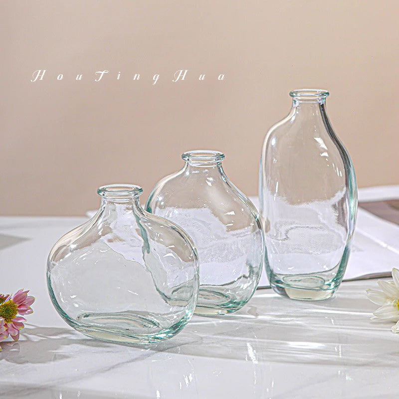 Hydroponic Terrarium Desktop Vase