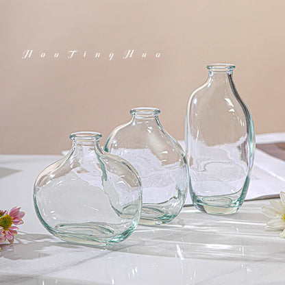 Hydroponic Terrarium Desktop Vase