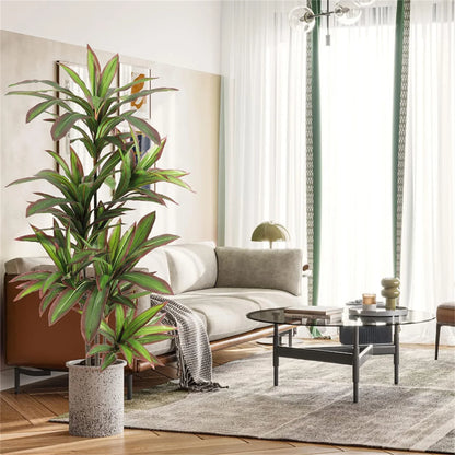 Artificial Dracaena Indoor Plant