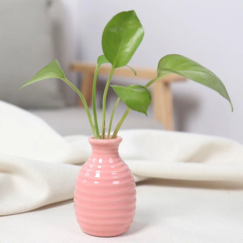 Coloured Mini Flower Vase