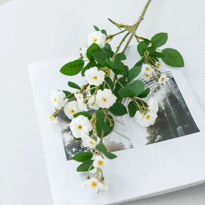 White flowers with green leaves on a white surface