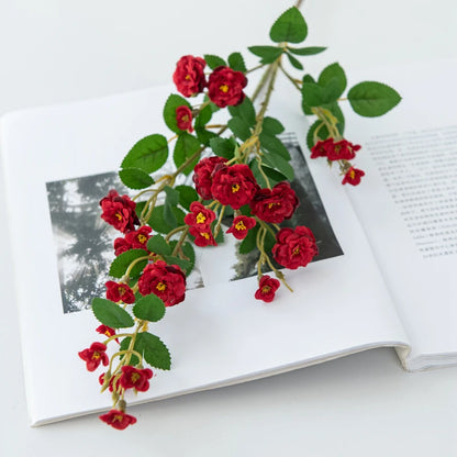 Red floral branch on an open book with a white background