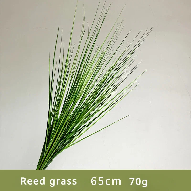 Green reed grass with measurement text on a light gray background