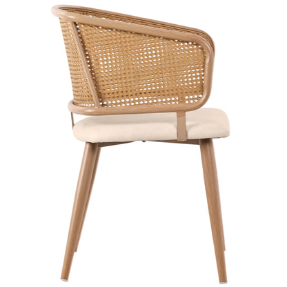 Modern Rattan Backrests Chair
