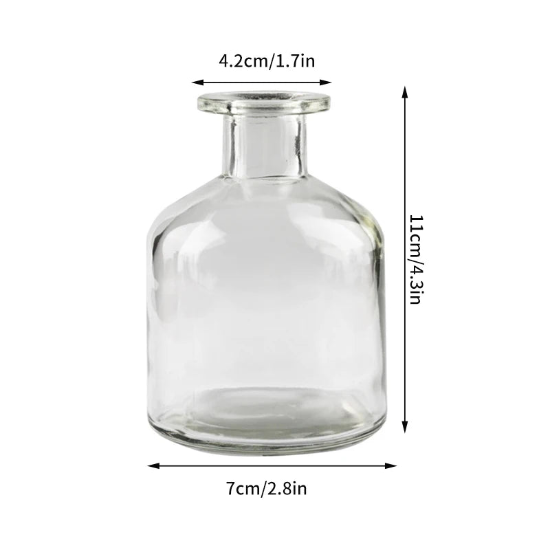 Hydroponic Terrarium Desktop Vase