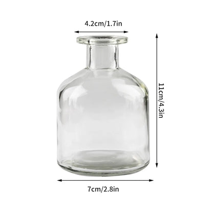 Hydroponic Terrarium Desktop Vase