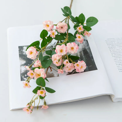 Pink flowers on an open book with a blurred background