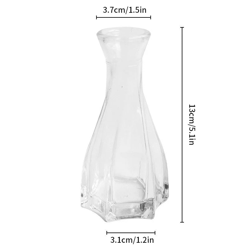 Hydroponic Terrarium Desktop Vase