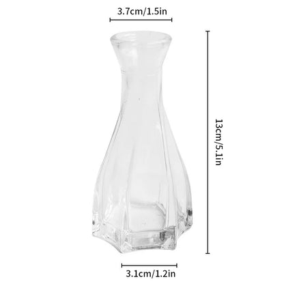 Hydroponic Terrarium Desktop Vase