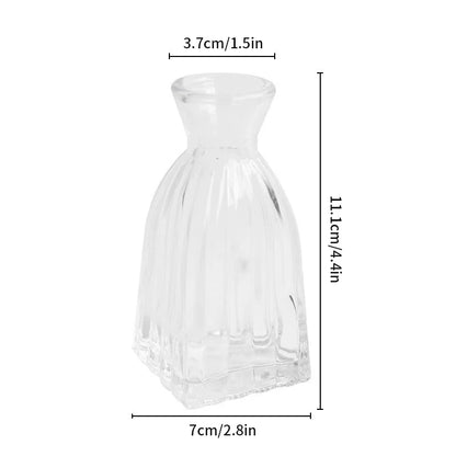 Hydroponic Terrarium Desktop Vase