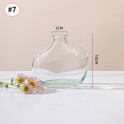 Hydroponic Terrarium Desktop Vase