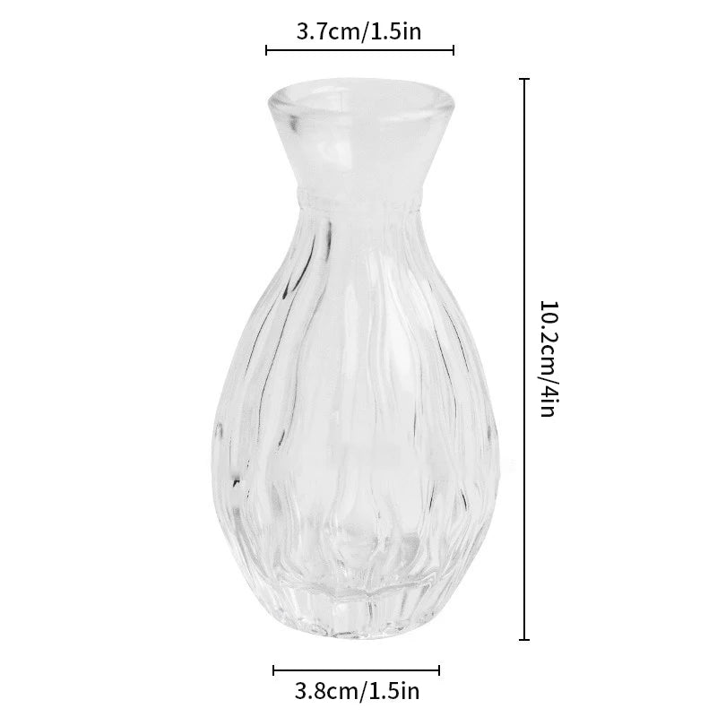 Hydroponic Terrarium Desktop Vase