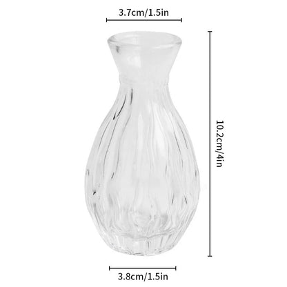 Hydroponic Terrarium Desktop Vase